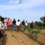 Foto Balades Vigneronnes