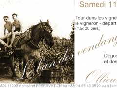 picture of Le ban des vendanges