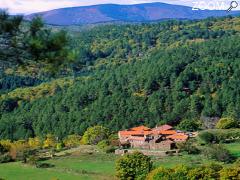 photo de Chambre d'hôtes en Cévennes Lou Rey