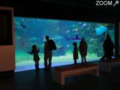 picture of Le Seaquarium