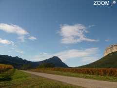 foto di circuit vigneron / winetour