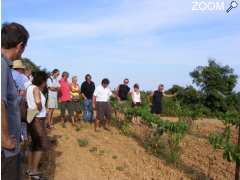 Foto Balades Vigneronnes du Haut-Minervois