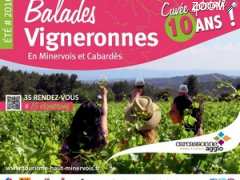 фотография de Balades Vigneronnes en Minervois & Cabardes 