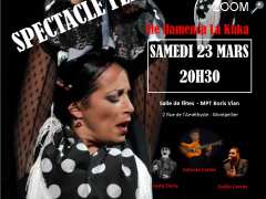 photo de Tablao/Spectacle Cie flamenca "La kuka"