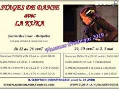 picture of Stages de danse flamenco et Sevillanes