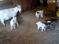 photo de Jardin animalier de Mialet